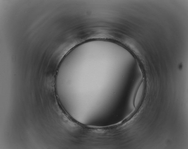 X0000089931329200707061031