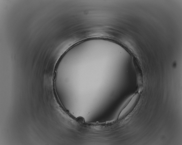 X0000089931330200707061031