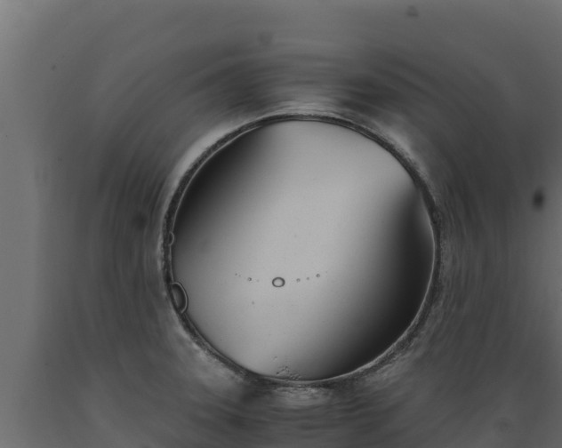 X0000089931331200707061031