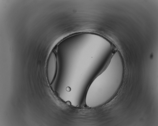 X0000089931332200707061031