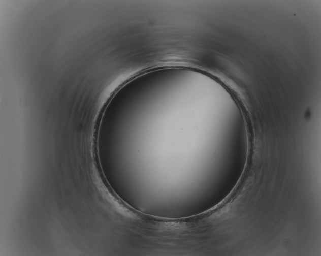 X0000089931333200707061031