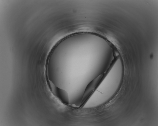 X0000089931334200707061031