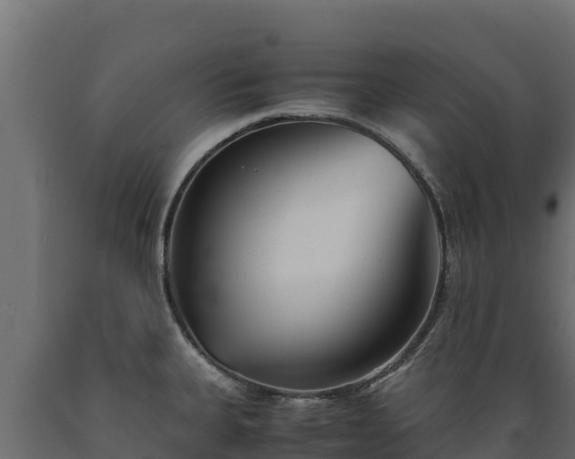 X0000089931335200707061031