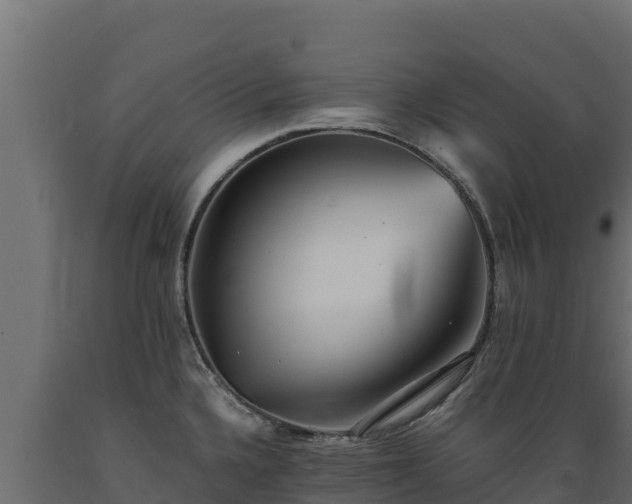 X0000089931336200707061031