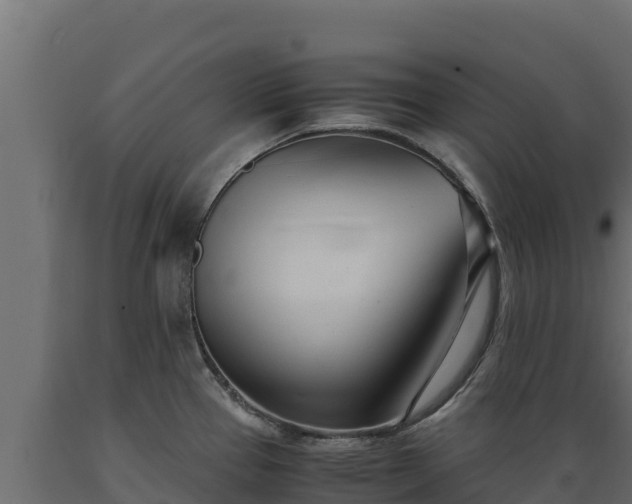 X0000089931337200707061031