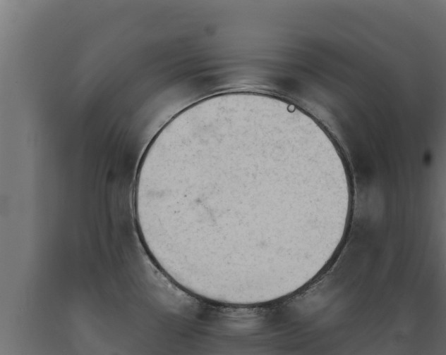 X0000089931338200707061031