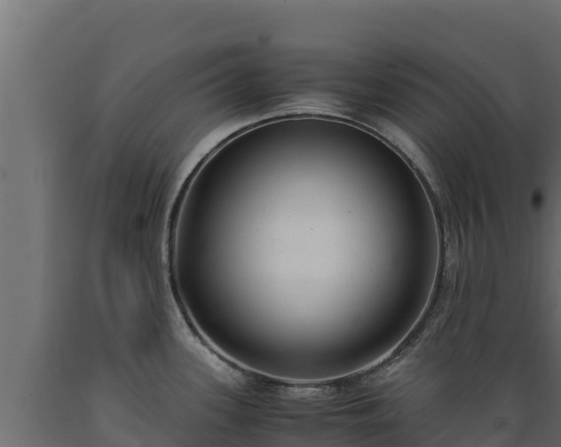 X0000089931339200707061031