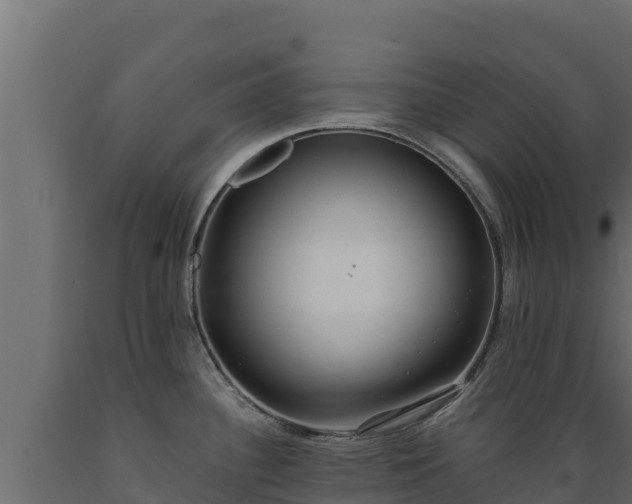 X0000089931340200707061031