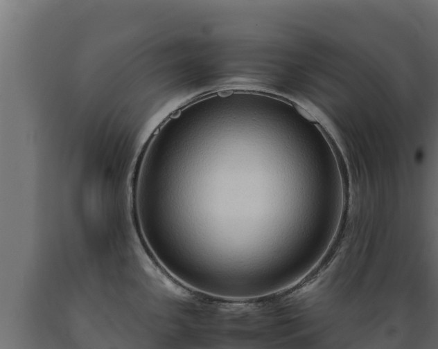 X0000089931341200707061031