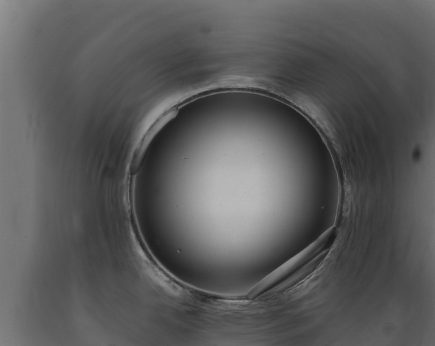 X0000089931342200707061031