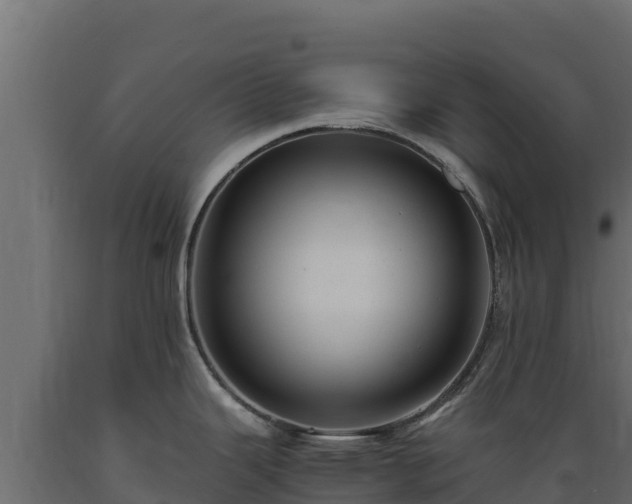 X0000089931343200707061031