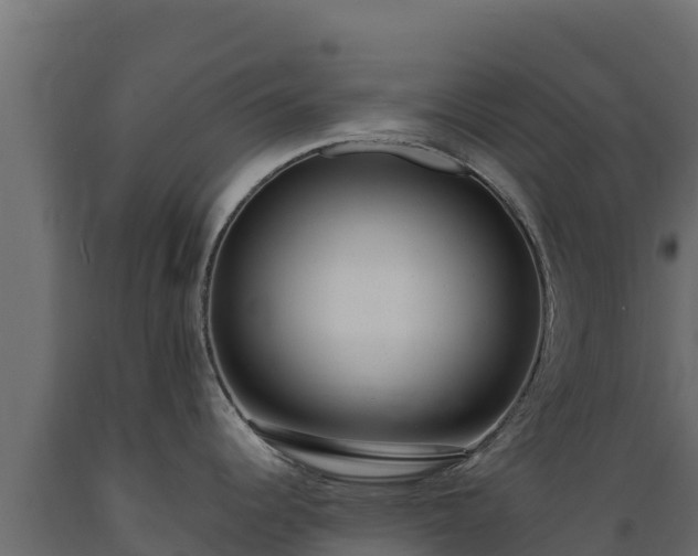 X0000089931344200707061031