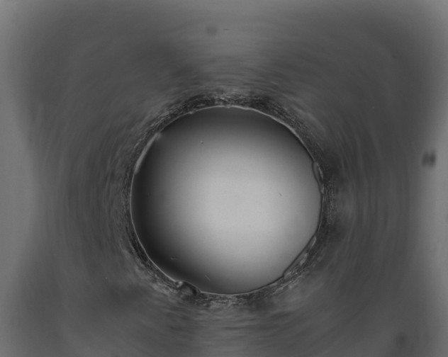 X0000089931345200707061031