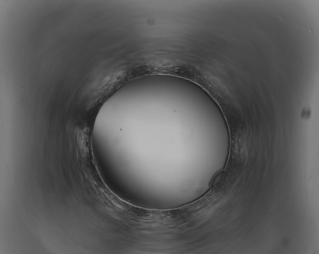 X0000089931346200707061031