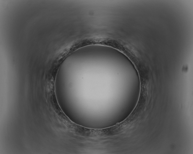 X0000089931349200707061031