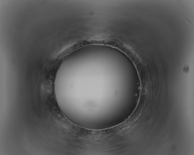 X0000089931350200707061031