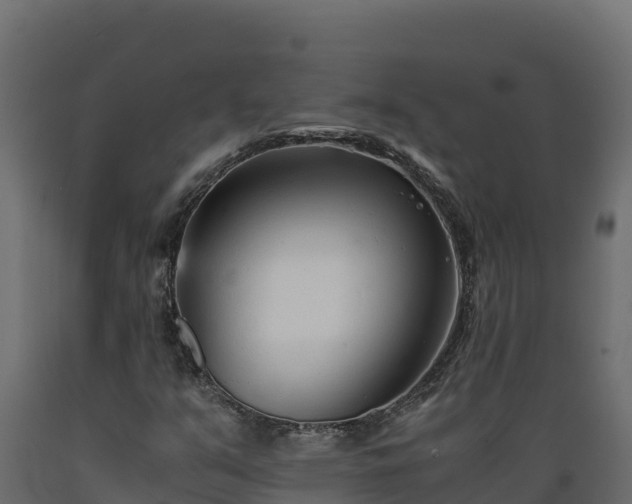 X0000089931351200707061031