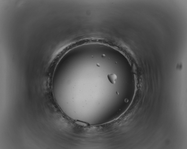 X0000089931352200707061031