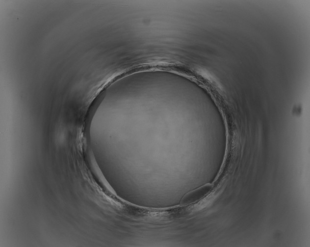 X0000089931353200707061031