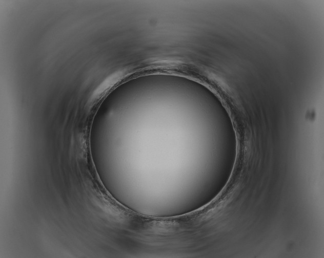 X0000089931354200707061031