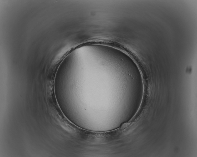 X0000089931355200707061031