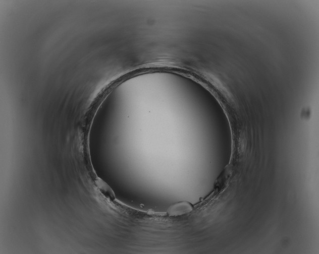 X0000089931356200707061031