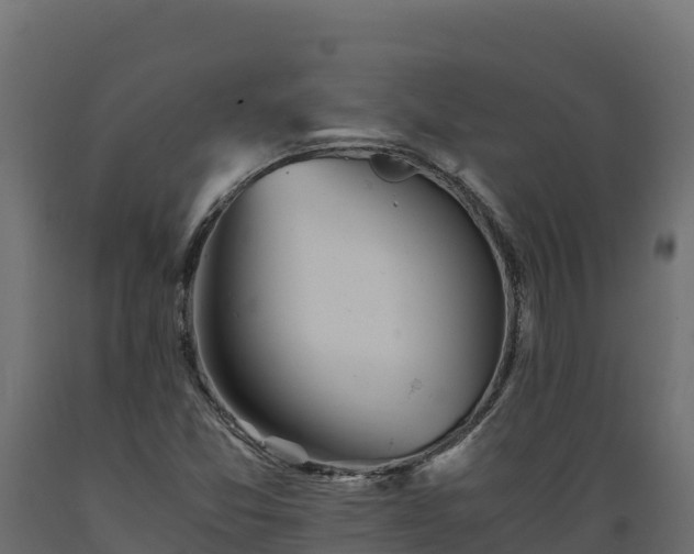 X0000089931357200707061031