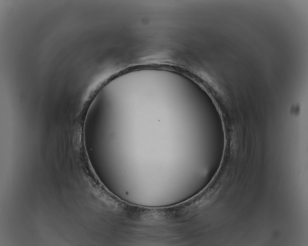 X0000089931358200707061031