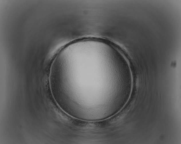 X0000089931359200707061031