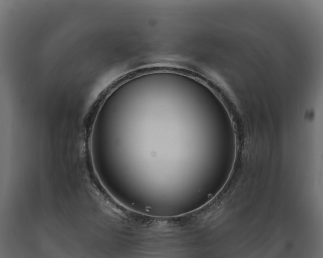 X0000089931360200707061031