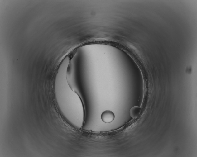 X0000089931361200707061031