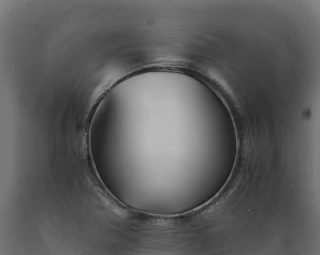 X0000089931362200707061031