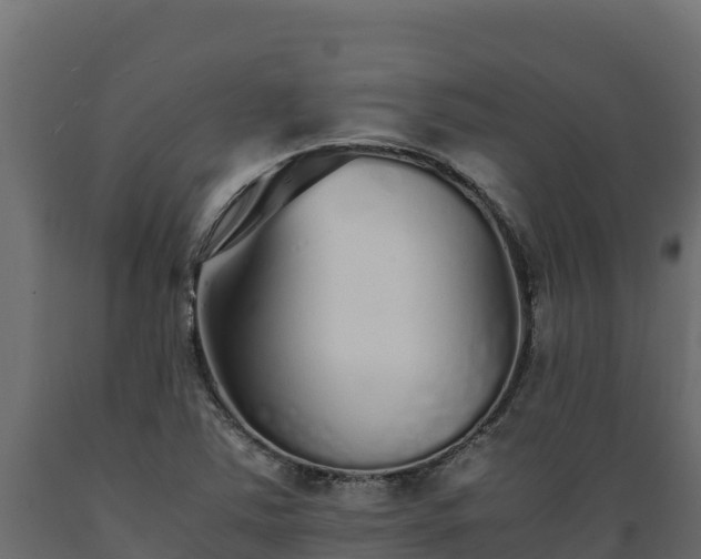 X0000089931363200707061031