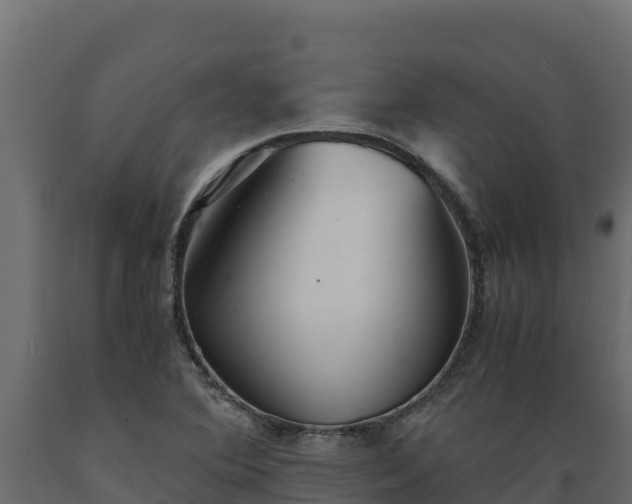 X0000089931364200707061031