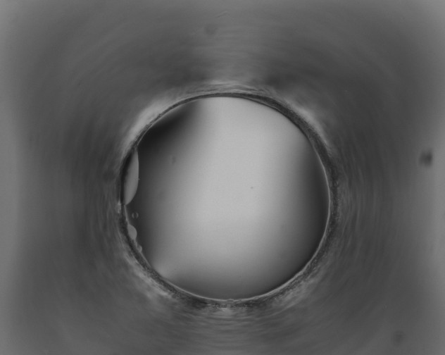 X0000089931365200707061031