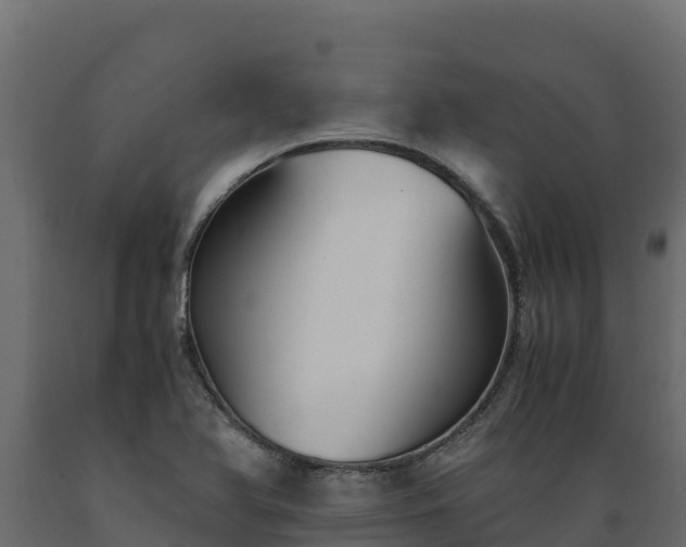 X0000089931366200707061031