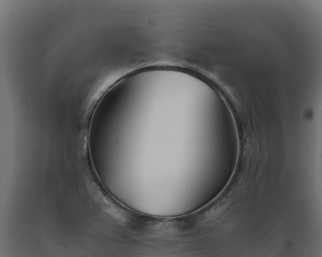 X0000089931367200707061031