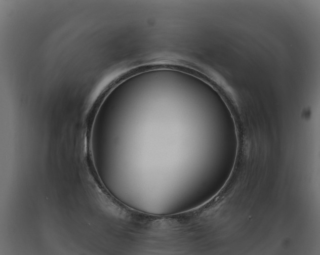 X0000089931368200707061031