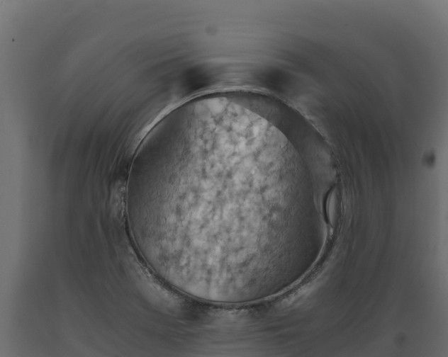 X0000089931369200707061031