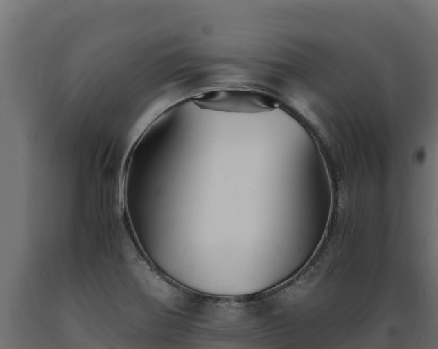 X0000089931370200707061031