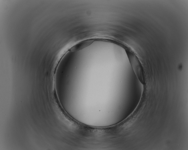 X0000089931371200707061031