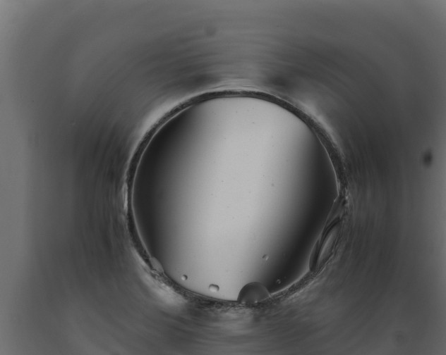 X0000089931372200707061031