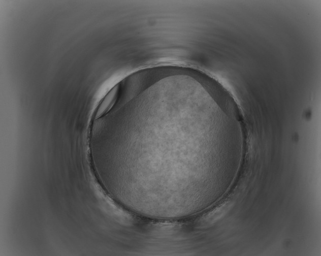 X0000089931373200707061030