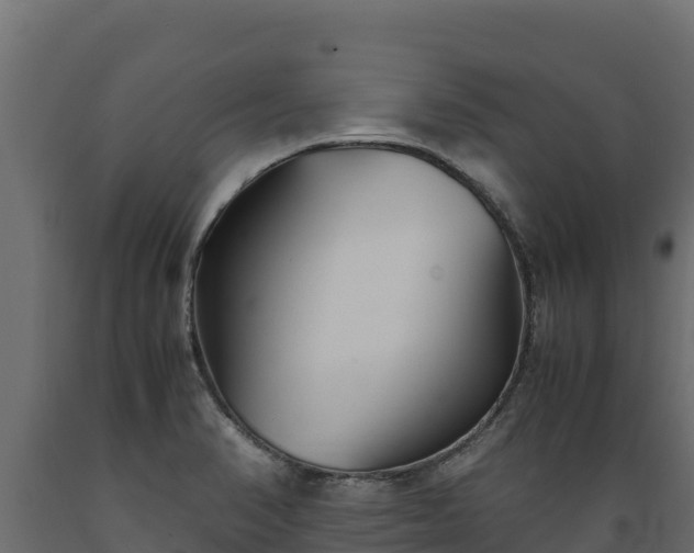 X0000089931374200707061030