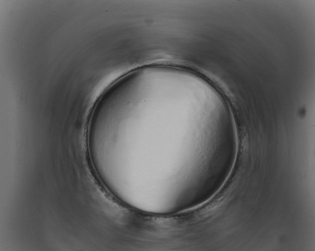 X0000089931375200707061030