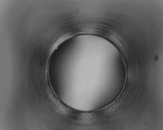 X0000089931378200707061030