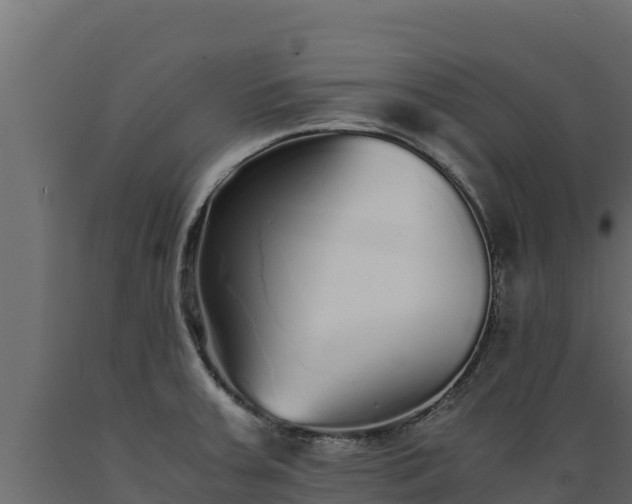 X0000089931379200707061030