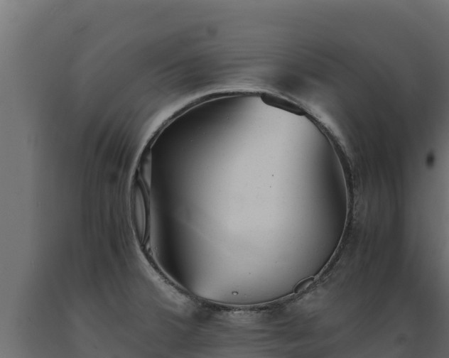 X0000089931380200707061030