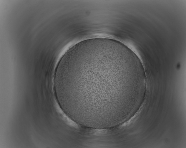 X0000089931381200707061030