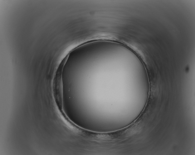 X0000089931383200707061030